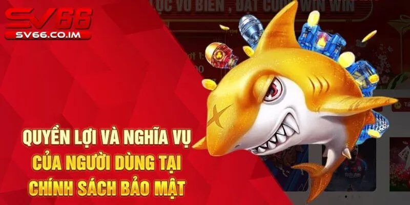 Quyền lợi của người chơi đối với thông tin cá nhân tại sv66